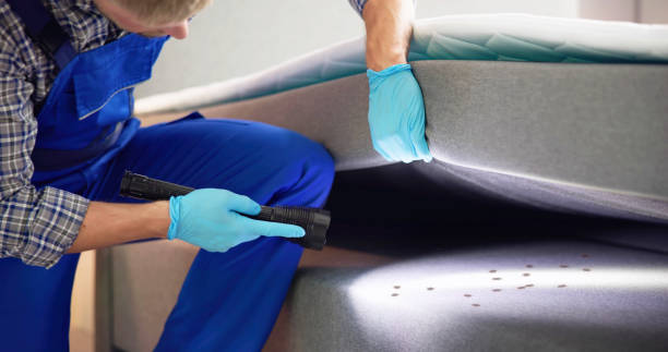 Best Commercial Pest Control Services  in Gallup, NM