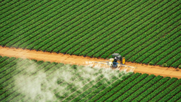 Best Best Pest Control Companies  in Gallup, NM